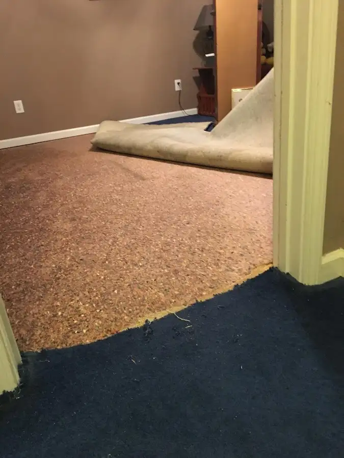 Carpet pad removal revealing water damage during Drying & Dehumidification in Shiloh