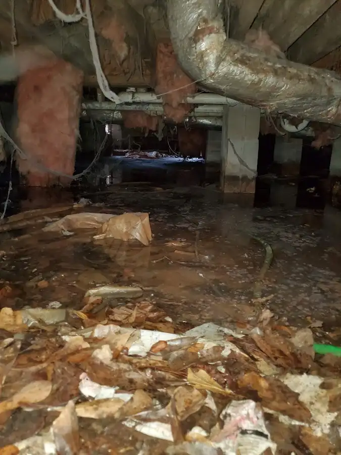 Crawl space flood assessment for Commercial Water Damage Restoration in Shiloh