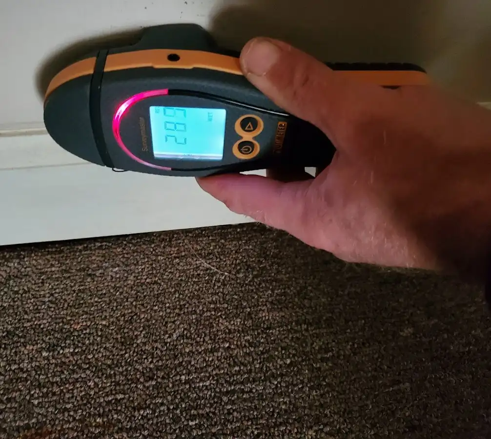 Moisture detection at baseboard during Sewage Cleanup & Sanitation in Shiloh